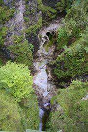 Eschenlaine
Asamklamm bei Eschenlohe
Eschenlaine creek
Asam gorge near Eschenlohe