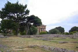 Paestum
Tempio di Netturno