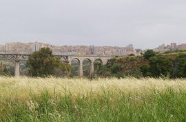 Agrigento
Valle dei Templi