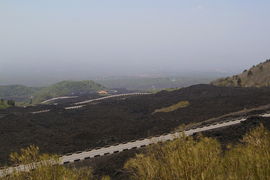 Provinciale dell'Etna
vista direzione Ragalna
Genista aetnensis