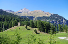 Surses - bei/near Sur
Burg / castle Spliatsch
Piz Arblatsch