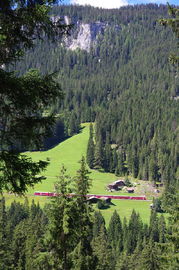 Schanfigg
Arosa-Bahn - bei/near Langwies