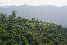 near Dharampur