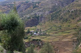 Bagha Valley
near Keylong