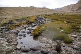 Gya Valley
tributary to Gya