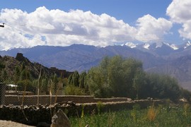 Chubi
Leh Palace