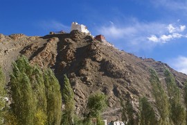 Namgyal Tsemo Gompa