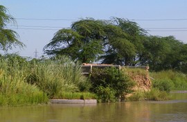 near Ghaziabad
Upper Ganga Canal