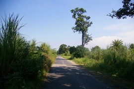 near Meerut
Upper Ganga Canal