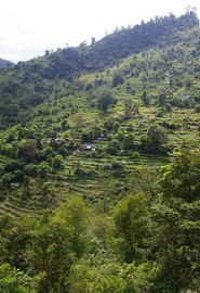 near Rishikesh